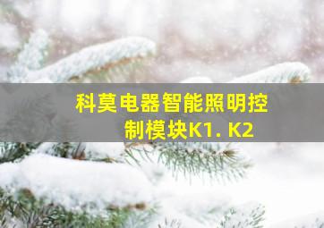 科莫电器智能照明控制模块K1. K2